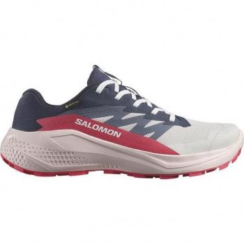 Alphaglide GORE‑TEX W Damen 4,5 – Grauer Outdoor-Laufschuh in der Größe 4,5
