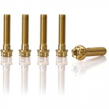 5PCS Titanium Lug Nut Set for Piaggio Vespa Primavera 150 Sprint 150