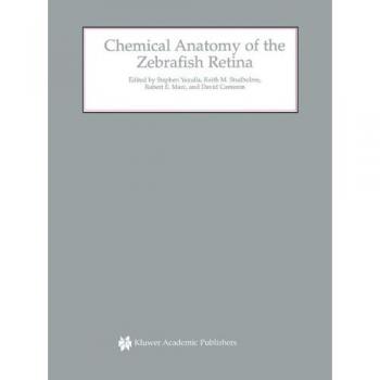 Chemical Anatomy of the Zebrafish Retina