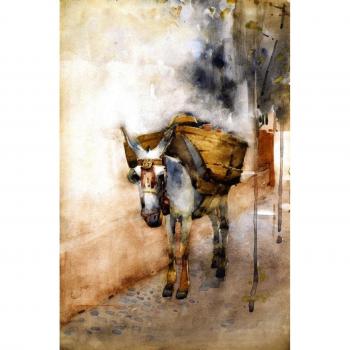 Póster “Donkey” 12×45,72 cm – Arte OdsanArt