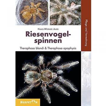 Riesenvogelspinnen