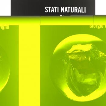 Stati naturali. Percorsi ritrovati in forme primarie. Ediz. italiana e inglese. Catalogo della mostra (Verona, 12 ottobre-6 gennaio 2014)