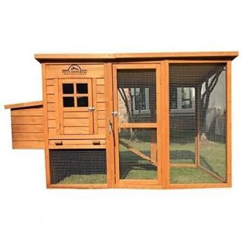 Pets Imperial® Monmouth Flat Roof Chicken House with Outdoor Run