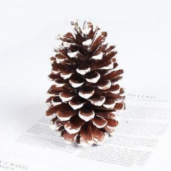 Retro Dried Flower and Pinecone Decorations for Food Photography