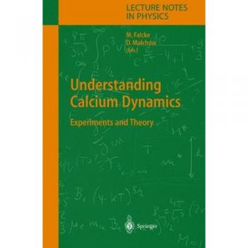 Understanding Calcium Dynamics