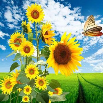 Éclat Doré : Kit Peinture Mosaïque Tournesol 30X30 cm