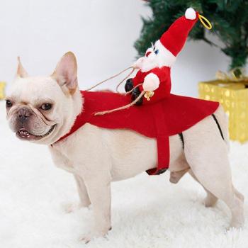 Chaqueta Festiva con Capucha y Cascos de Navidad