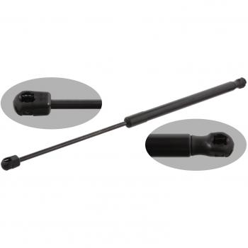 FEBI BILSTEIN Heckklappendämpfer AUDI 31666