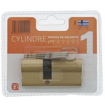 Cylindre Bricard Pratic 1444 double entrée 30+40 mm laiton niveau 1