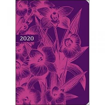 Kalenderbuch Orchidee 2020