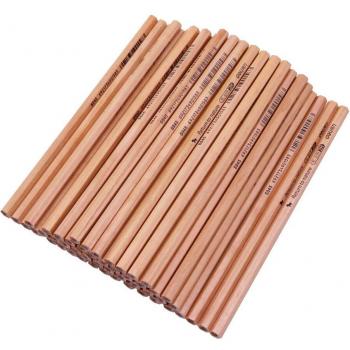 Paquete de Lápices de Carpintero 50 Uds HB/2B/2H Cubo Plástico