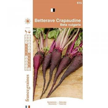 Betterave Rouge Crapaudine