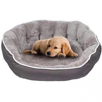 Abri félin Homemania Patte 1 – Gris – 48 x 42 x 16 cm, espace cosy