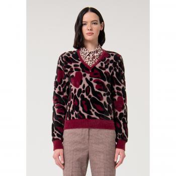 Veste de Tricô Regular Animalier Jacquard