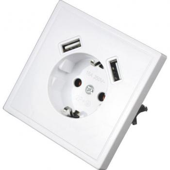 Toma USB murale doble 5V 2A color madera J1-01M