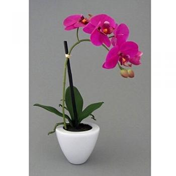 Keramische Kunstblume Phalensopsis von Gasper, 36 cm
