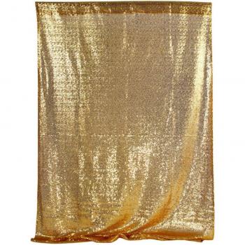 Gold Sequin Fringe Backdrop