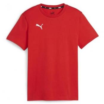 Puma teamGOAL Casuals T-Shirt Kinder Rot 116