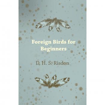 Foreign Birds for Beginners