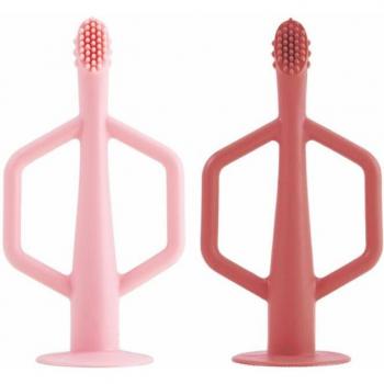 Tiny Twinkle Little Smiles Toothbrush Set