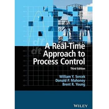A RealTime Approach to Process Control by Brent R. Young Paperback Book