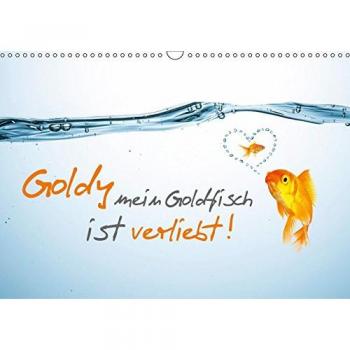 Goldy mein Goldfisch ist verliebt!