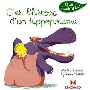 Que d'histoires ! CP Série 3