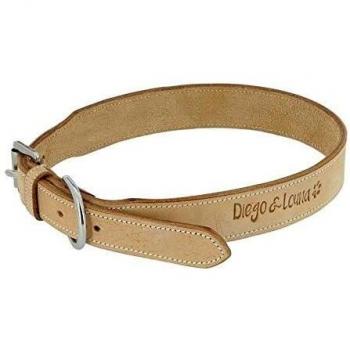 Collier en Cuir pour Chien Diego & Louna