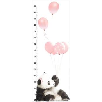 Stickers voor Baby's: Panda Ballonnen Groeikaart