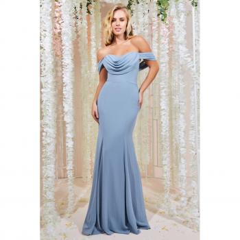 Elegant Chiffon Bardot Cowl Neck Maxi Dress