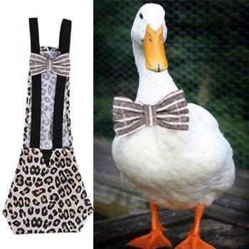 Pañal para aves de corral con banda elástica S/M/L