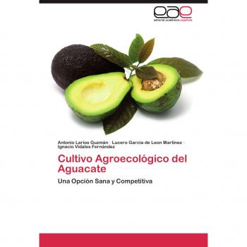 Cultivo Agroecológico del Aguacate: Una Opción Sana y Competitiva
