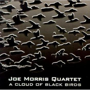 A cloud of black birds