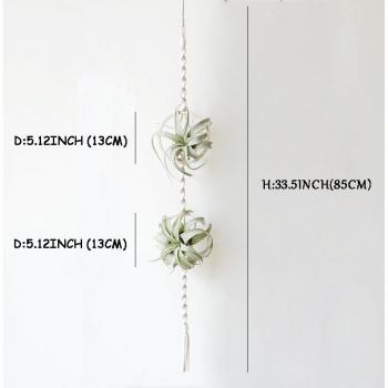 Indoor Macrame Hanging Planter for Tillandsia