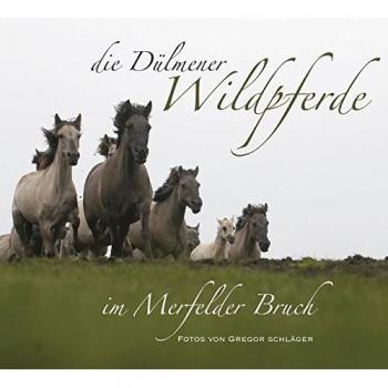 Die Dülmener Wildpferde im Merfelder Bruch