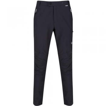 Wasserabweisende Herren-Wanderhose Regatta Highton – Mehrere Taschen, S (Grau)