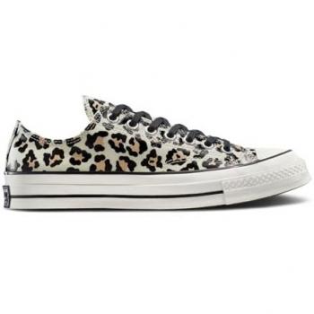Tênis Chuck Taylor All Star 70 Ox Driftwood