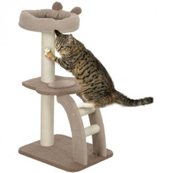 Grattoir à Chat avec Échelle Café 88 cm