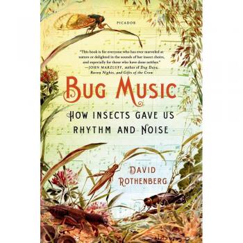 Rothenberg, David: BUG MUSIC
