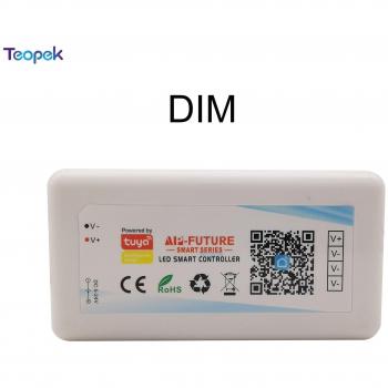 Tuya RGB LED Controller with Smart Life App and Voice Control