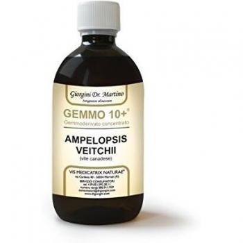 Dr. Giorgini Vite Canadese 500ml Gemmoderivato Liquido