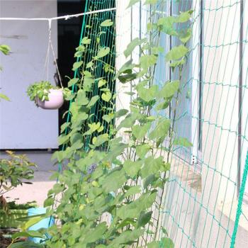 Artificial Plant Climbing Net