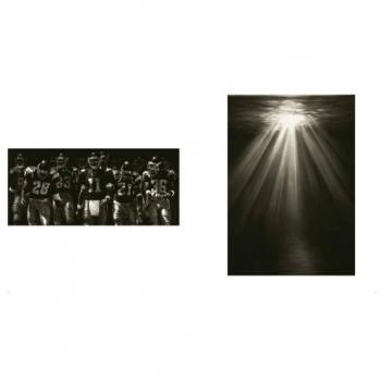 Robert longo