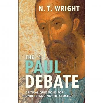 The Paul Debate: Critical Questions For Understanding The Apostle (Paperback)