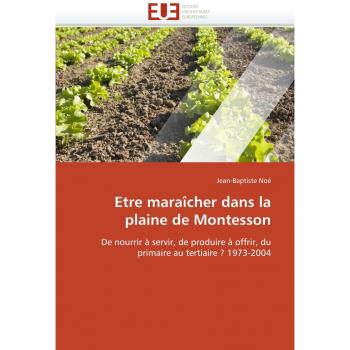 Etre maraîcher dans la plaine de Montesson: De nourrir à servir, de produire à offrir, du primaire au tertiaire ? 1973-2004