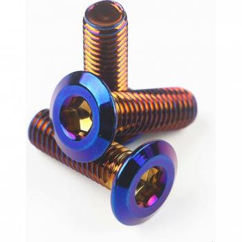 Vis à disque de frein bleue M8 x 25 pour véhicule électrique