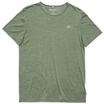 Devold Merinot-Shirt Herren Grün