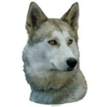 Heimtierbedarf Schwandt 12056 – 4x Aufkleber „Warnschilder Siberischer Husky“