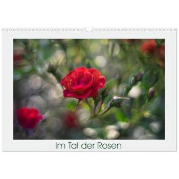 Im Tal der Rosen (Wandkalender 2025 DIN A3 quer) CALVENDO Monatskalender
