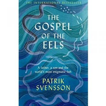 The Gospel of the Eels